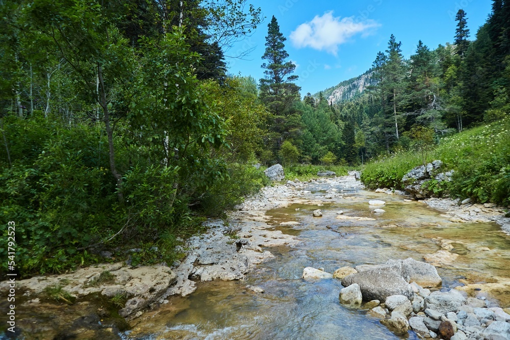 A swift mountain river. Water flows in nature. Mountainous terrain. A swift mountain river. Water flows in nature. Mountainous terrain.