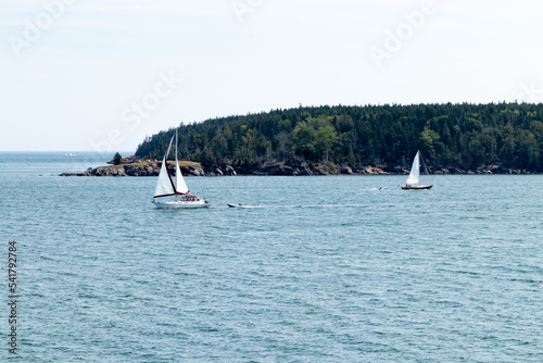 sailboats on a beautiful day on the bay 