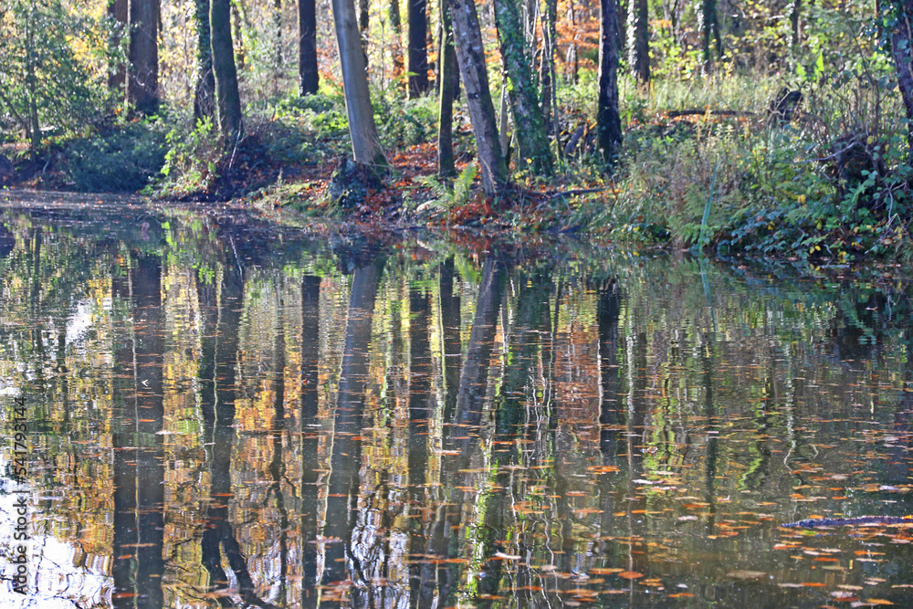 Reflections in Stover country park, Devon, in Autumn	