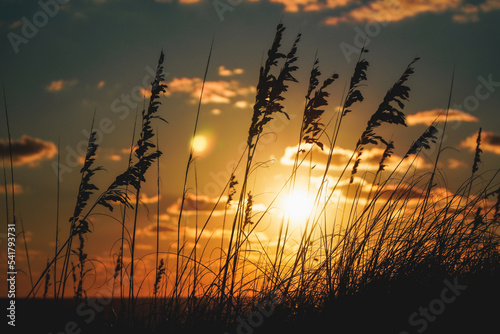 Sunrise At Nags Head North Carolina