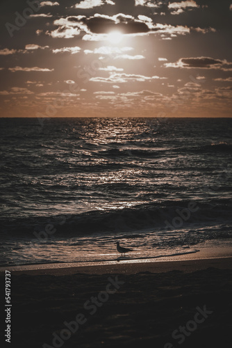 Sunrise At Nags Head North Carolina