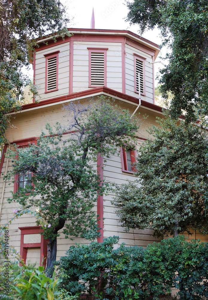 Fototapeta premium historic building 