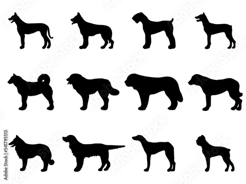 dog silhouette set. Black silhouettes of a dogs on a white background. Vector illustration