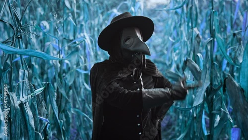 Plague doctor gothic woman dancing in blue thickets. Creepy raven mask, halloween, historical terrible protection costume, meme dance concept photo