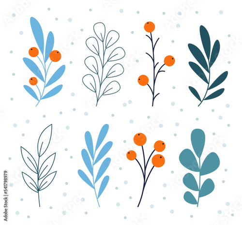 Vector winter leaves clipart with red berries in flat style. Collection of plants in cartoon style for winter holidays designs isolated on white background.