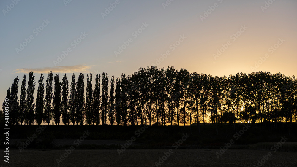 Obraz premium atardecer