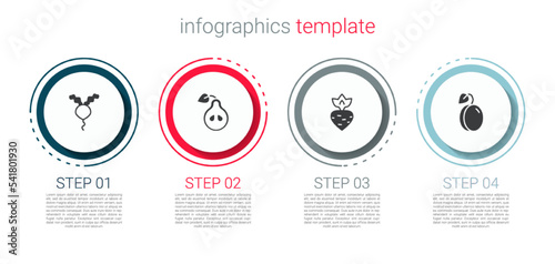 Set Radish, Pear, Turnip and Plum fruit. Business infographic template. Vector