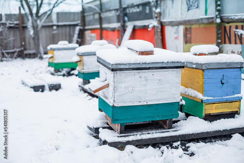 Colorful hives on apiary in winter stand in snow among snow-covered trees. Wintering honeybees in outdoor winter. Hives on apiary in December in Europe