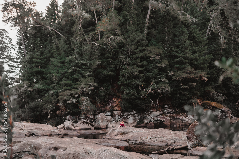 large rocks in the river and forest with lush vegetation Stock Photo ...