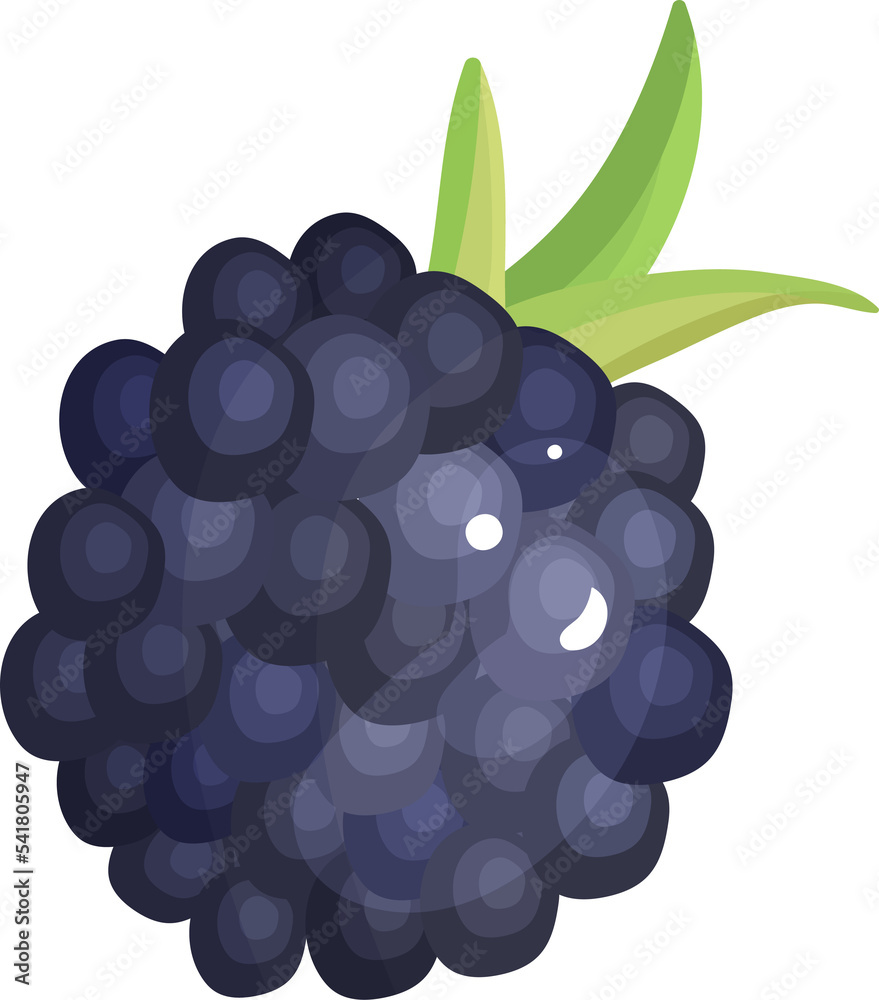Fruits icon PNG for websites developer, social media, layouts, art ...