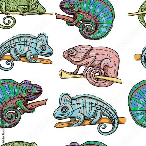 Chameleons animals wildlife tropics exotic  antistress for children graphics line drawn by hand separately on a white background