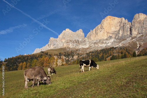 Der Rosengarten in den Dolomiten