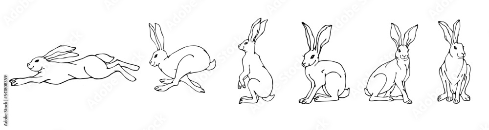 Set of linear sketches of wild forest animals hares, rabbits.Vector graphics. Set of linear sketches of wild forest animals hares, rabbits.Vector graphics.