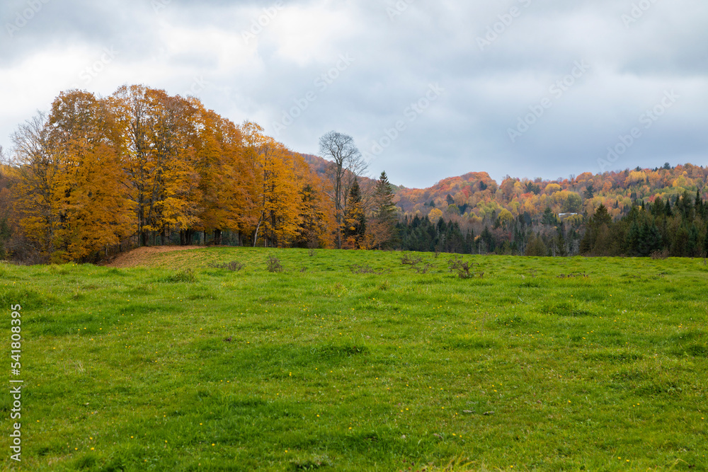 Cabot, Washington County, Vermont, USA StockFoto Adobe Stock
