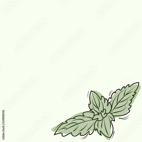 green background with mint leaves