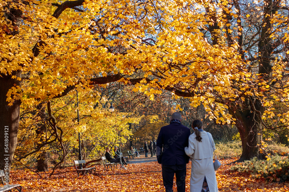 Scenic of a senior couple walking on a pathway of a park in autmn