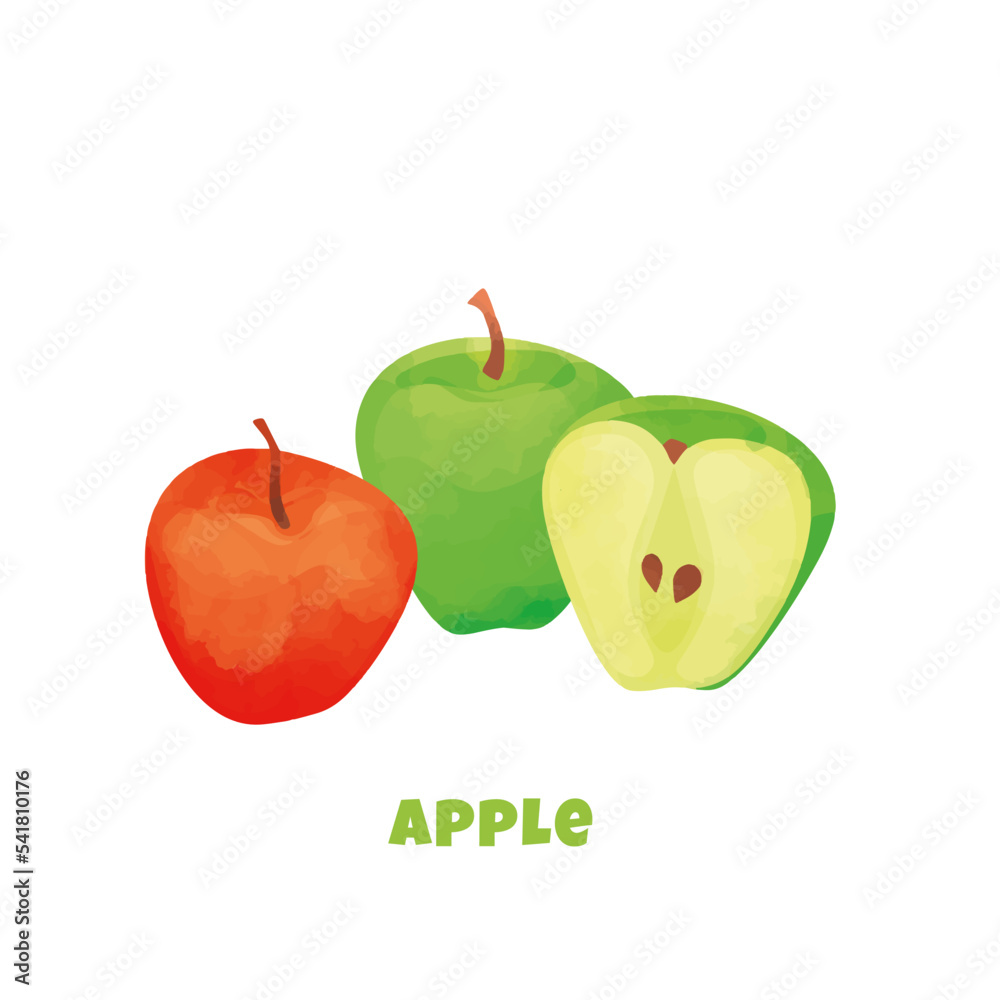 Obraz premium Colorful vector of an apple isolated on a white background