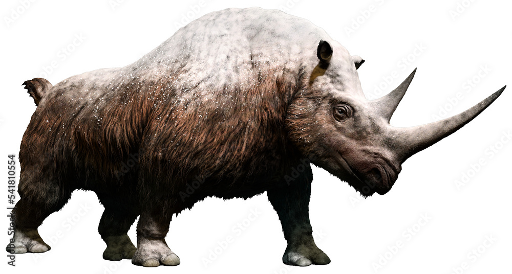Εκτύπωση καμβά Woolly rhinoceros from the Pleistocene era 3D illustration