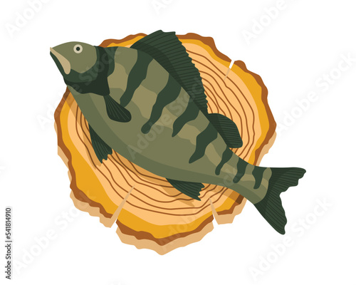 Fish on wooden board. Kitchen cutting board with healthy meal meat. Foodstuff in cartoon style. Concept organic wild river or ocean food