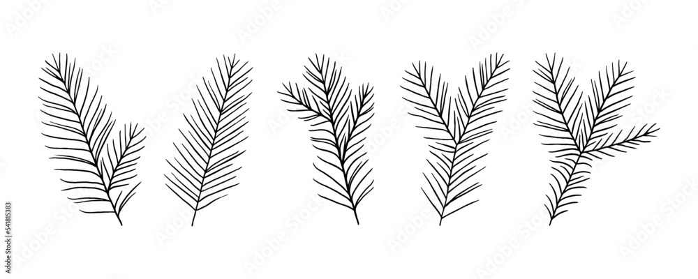 A set of spruce branches for decoration. Hand drawn forest elements. Natural decor in doodle style. A set of spruce branches for decoration. Hand drawn forest elements. Natural decor in doodle style.