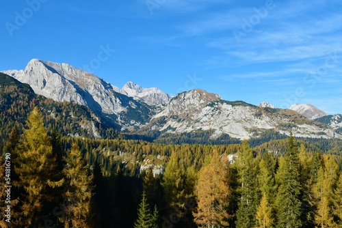 View of Debeli vrh mountain and Laz mountain pass in Julian alps and Triglav national park, Gorenjska, Slovenia in autumn with golden colored larch trees