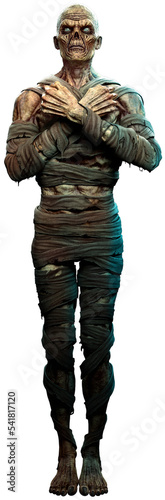 Картината върху платно Mummy at rest 3D illustration