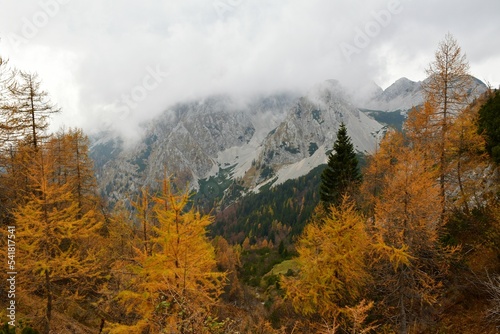 View of Stol mountain covered in clouds in Karavanke mountains, Slovenia and autumn colored golden larch trees