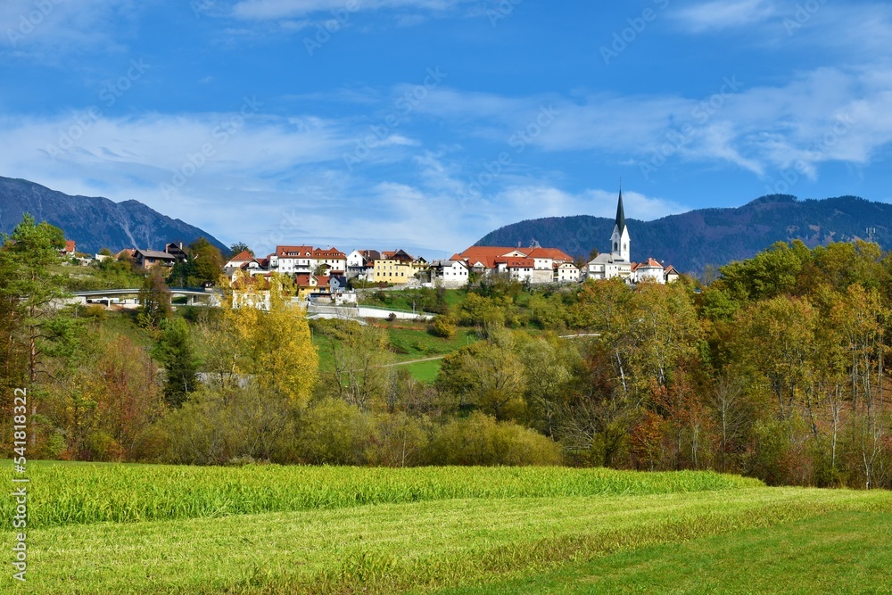 View of the town of Radovljica in Gorenjska, Slovenia with a green field in front and forest covered mountains behind