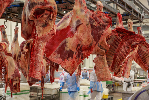 Canvas Print Black angus carcasses in processing line of deboning hall.