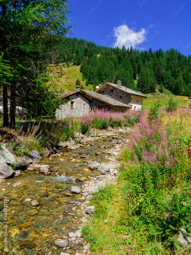 Vallone Vertosan, Aosta Valley, Italy StockFoto Adobe Stock