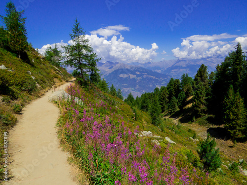 Chamole, Aosta Valley, Italy