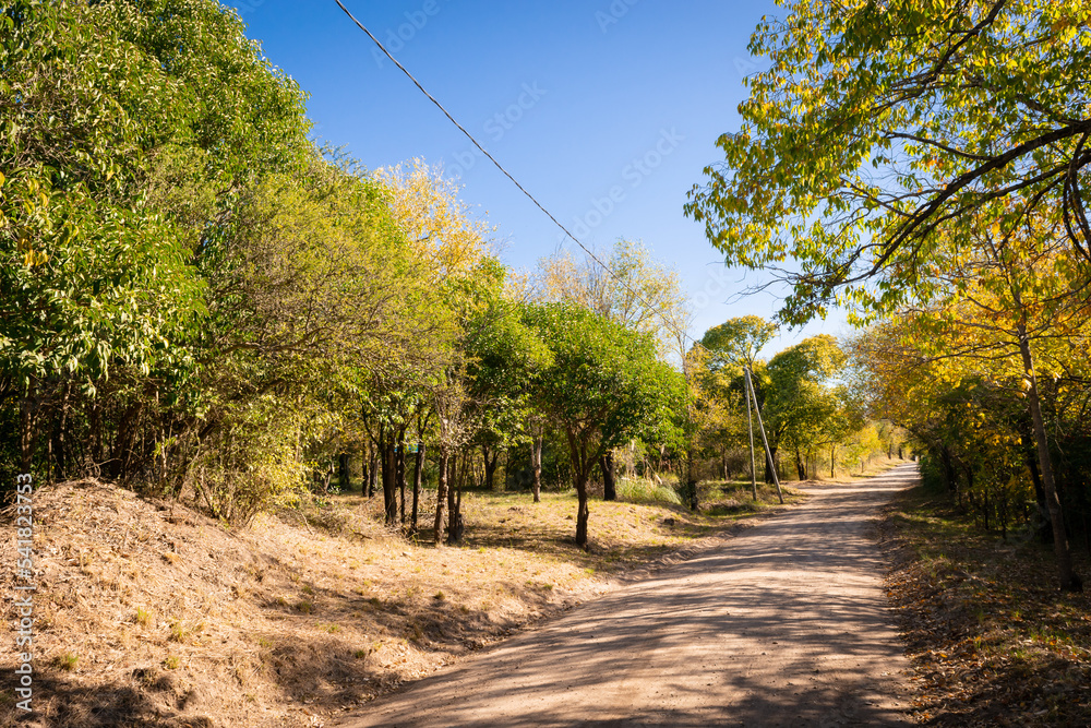 Paisaje de camino y árboles en la localidad de Casa Grande, Córdoba. Cable de tendido eléctrico. Paisaje de camino y árboles en la localidad de Casa Grande, Córdoba. Cable de tendido eléctrico.
