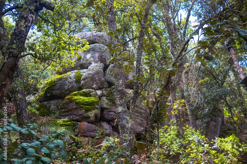 Pile of rocks in El Penion camp forest in Sierra de Lobos in Leon Guanajuato