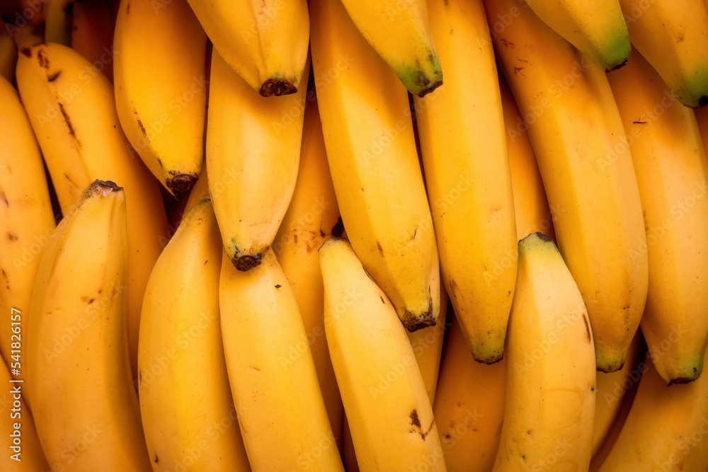 Background texture of whole bananas with copy space