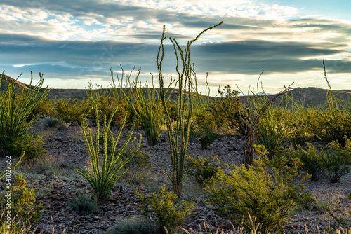 Big Bend National Park, Texas