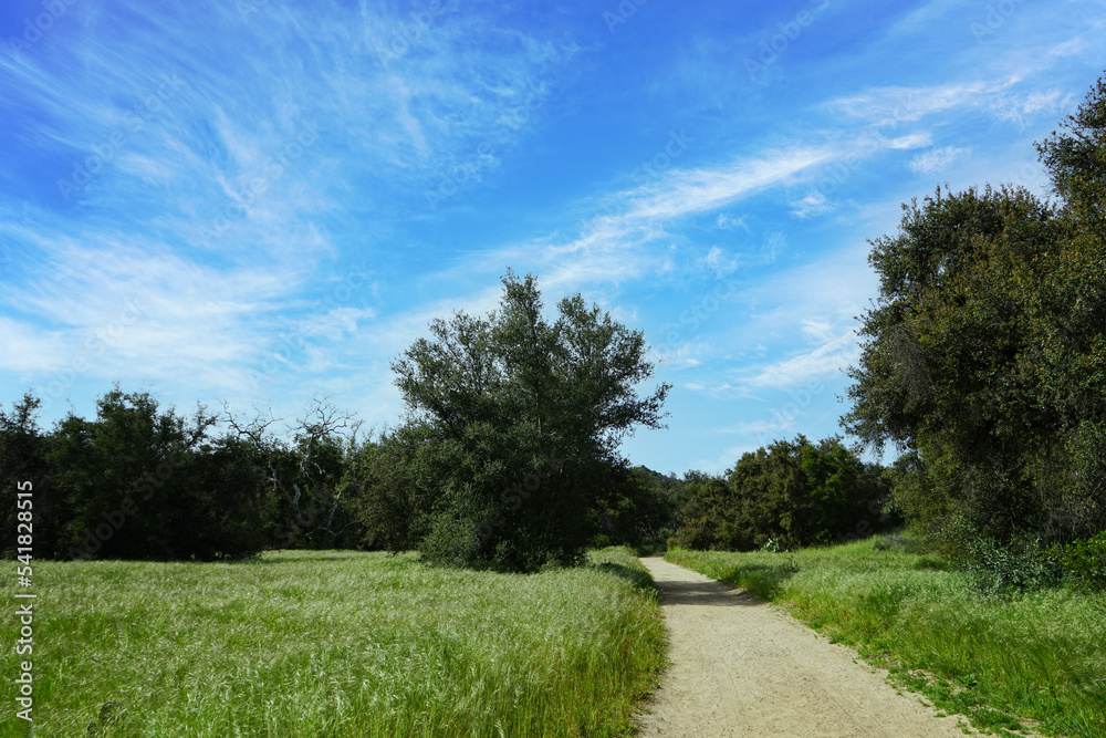 Hiking trail in Caspers WIlderness Park on a sunny day with blue skies. Hiking trail in Caspers WIlderness Park on a sunny day with blue skies.