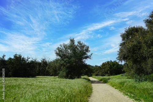 Hiking trail in Caspers WIlderness Park on a sunny day with blue skies. photo