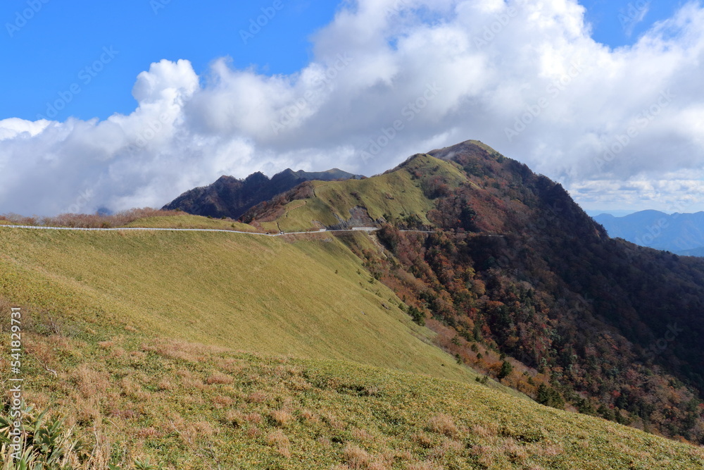 Obraz premium 瓶ヶ森林道 天空ロード 秋 （高知県 UFOライン）