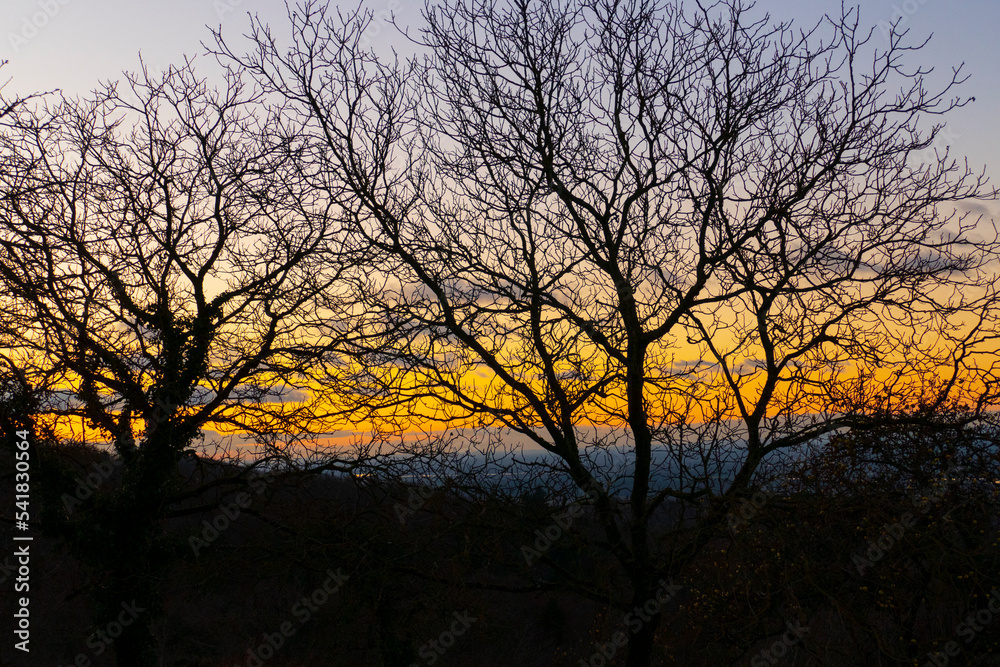 Sonnenuntergang mit Bäumen im Winter in Ebersteinburg