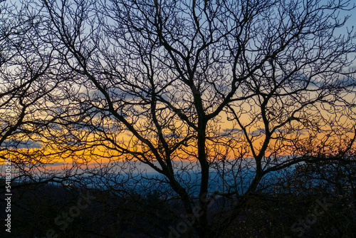 Sonnenuntergang mit B  umen im Winter in Ebersteinburg