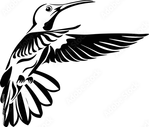 Black and White Cartoon Illustration Vector of a Hummingbird in Flight