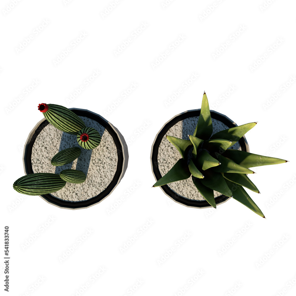 Top view of Plant (Potted Vase with Indoor Plant 13) Tree png Stock