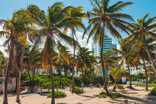 Fototapeta Naklejka Na Ścianę i Meble -  Beautiful palm trees condado city beach from puerto rico tropical coast