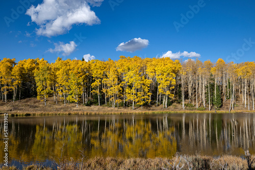 Diamond Pond and Fall Aspens, Rocky Mountains photo