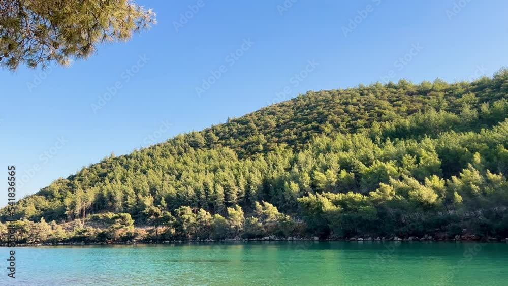 Green sea and forest view. Sunshine and plant reflected in clear lake water. Beautiful nature background with large copy space. Idyllic motion in 4K resolution Green sea and forest view. Sunshine and plant reflected in clear lake water. Beautiful nature background with large copy space. Idyllic motion in 4K resolution