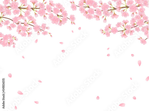 満開の桜_フレーム_ベクターイラスト