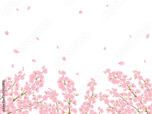 満開の桜_フレーム_ベクターイラスト