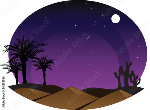 night in the desert