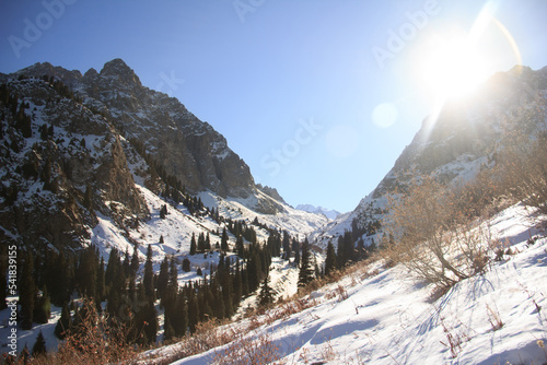 Snow-covered alpine Tuyuk-su gorge with rocky mountains, fir trees and distant view in sunlight, sun, winter