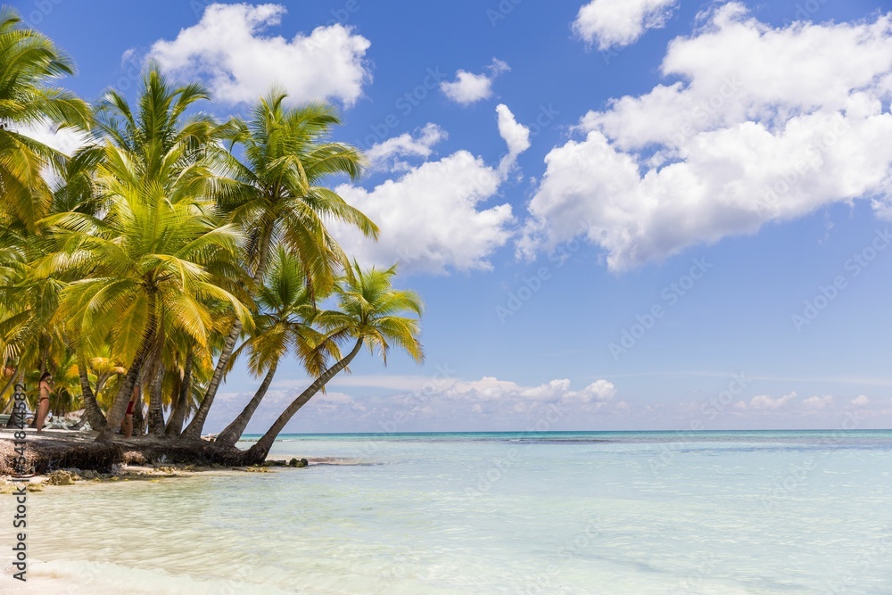 Beautiful scenery of palms on the beach with clear sea water and blue cloudy sky